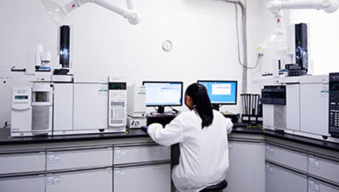 lab